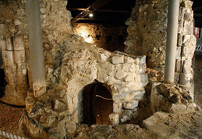 צילום: גילי מצא