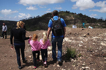 צילום: אבישג שאר-ישוב