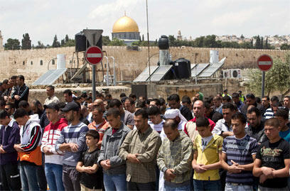 צילום: רויטרס