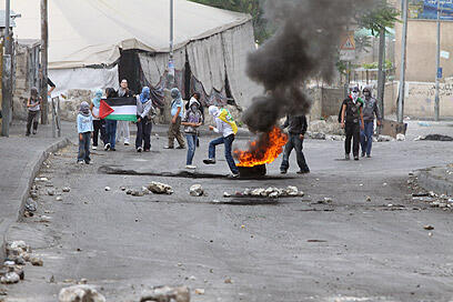 צילום: אוהד צויגנברג