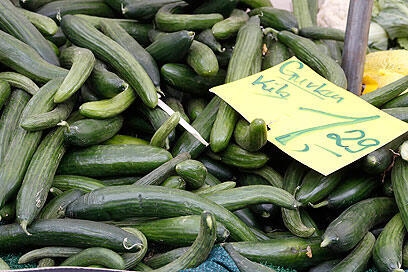 צילום: רויטרס