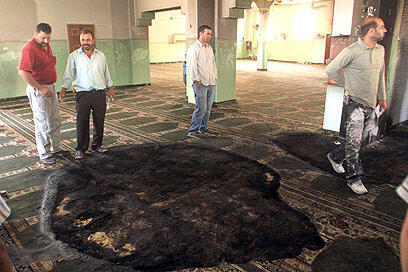 צילום: גיל יוחנן