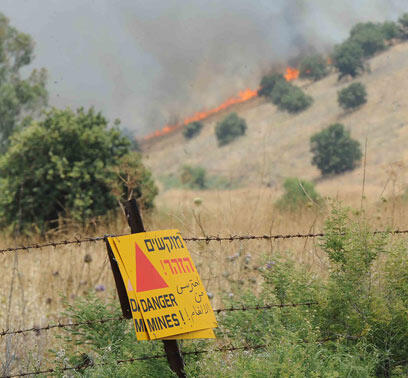 צילום: אביהו שפירא