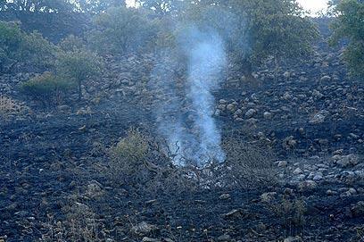 צילום: אביהו שפירא
