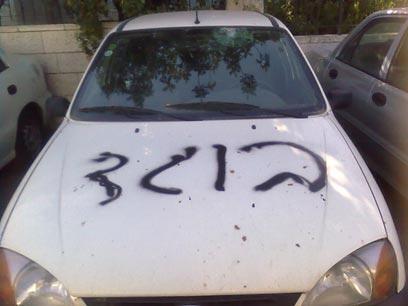 צילום: הדר אלכסנדר