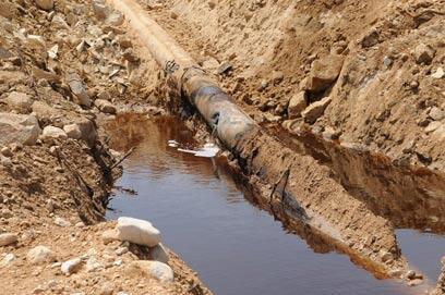 צילום: הרצל יוסף