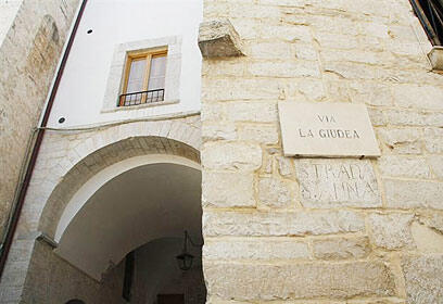 צילום: גילי מצא