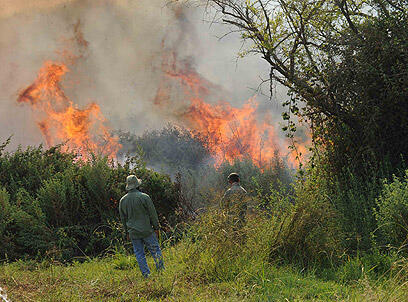 צילום: אביהו שפירא