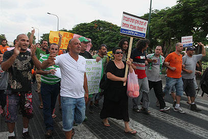 צילום: עופר עמרם