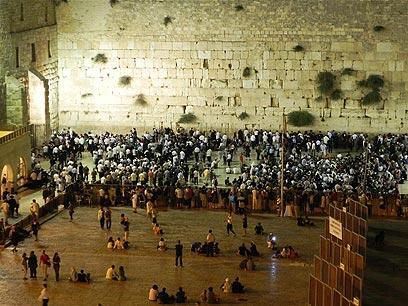 צילום: זיו ריינשטיין