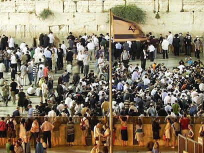 צילום: זיו ריינשטיין