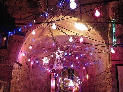 צילום: זיו ריינשטיין