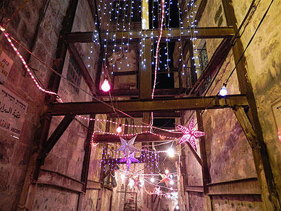 צילום: זיו ריינשטיין