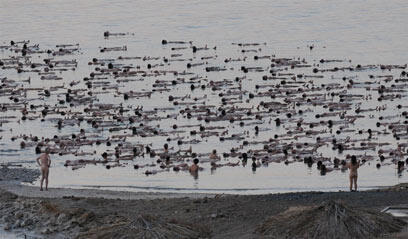 צילום: ירון ברנר