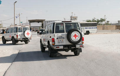 צילום: אליעד לוי