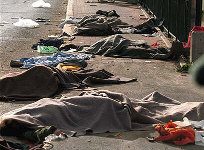 צילום דדי ליפשיץ