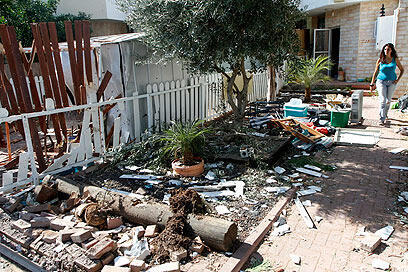 צילום: אמיר לוי