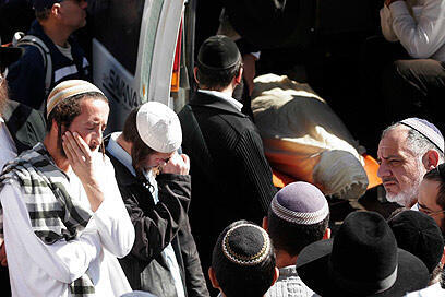 צילום: אליעד לוי