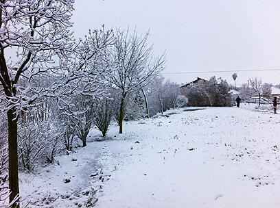צילום: אוהד צבר