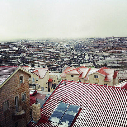 צילום: יאיר קאופמן