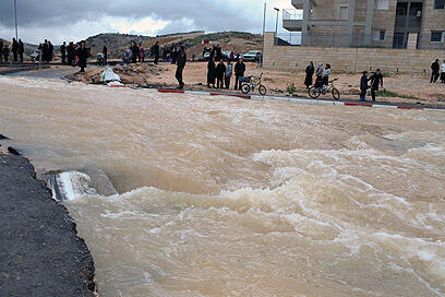 צילום: אוהד צויגנברג