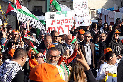 צילום: עופר עמרם