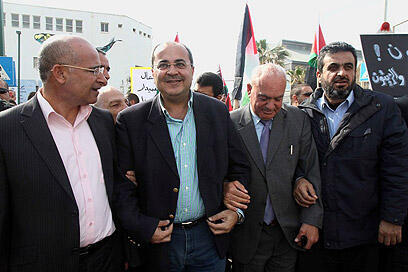 צילום: עופר עמרם