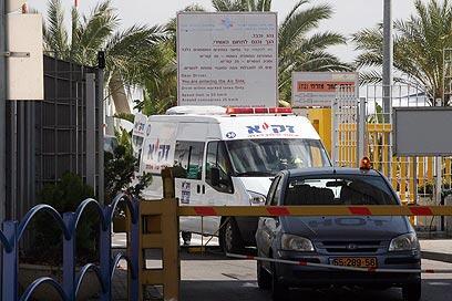 צילום: גיל יוחנן