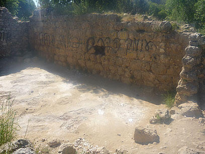 צילום: תומר זקסנברג