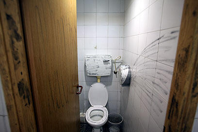 צילום: מוטי קמחי