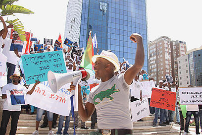 צילום: דנה קופל