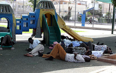 צילום: עופר עמרם