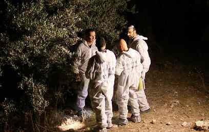 צילום: עידו ארז