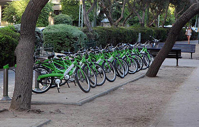 צילום: מוטי קמחי