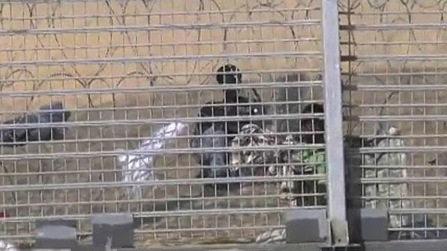 Asylum seekers waiting on the other side of the border fence (Photo: Roee Idan)