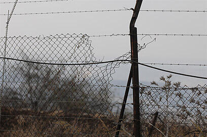 צילום: ירון ברנר