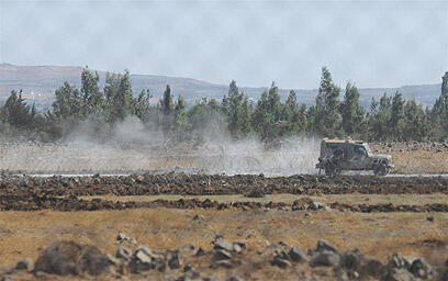 צילום: ירון ברנר