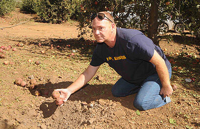 צילום: אביהו שפירא