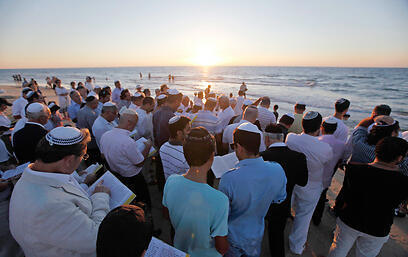 צילום: רויטרס