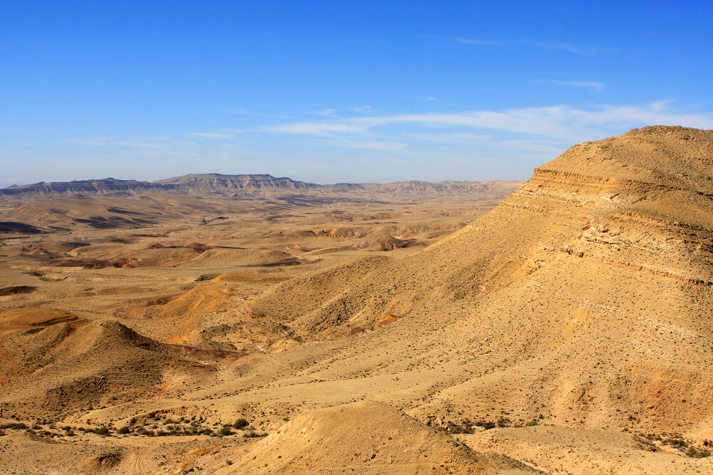 The Negev Desert 