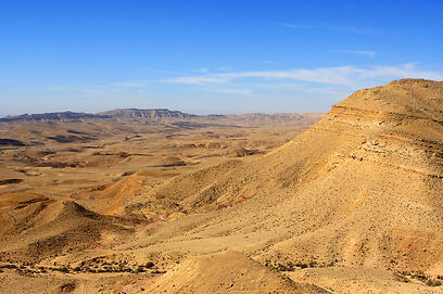 צילום: shutterstock