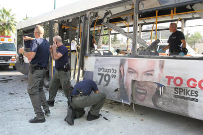 צילום: עופר עמרם