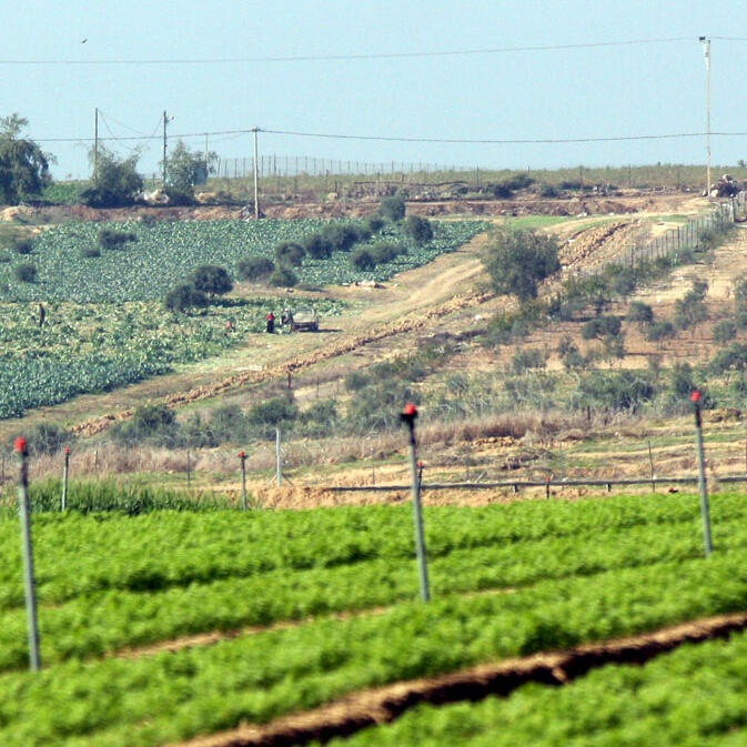 חקלאות בעוטף עזה
