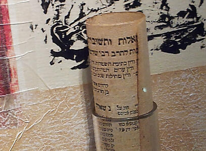 צילום: דבורה גינזבורג