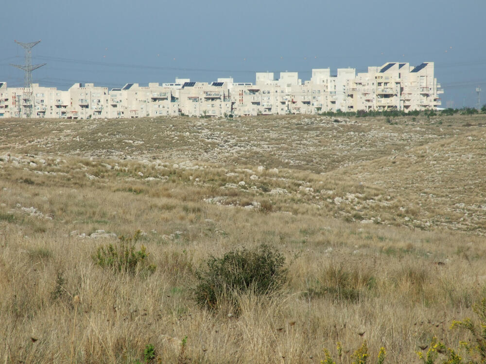 "המדינה מאבדת את השטחים הפתוחים שלה"