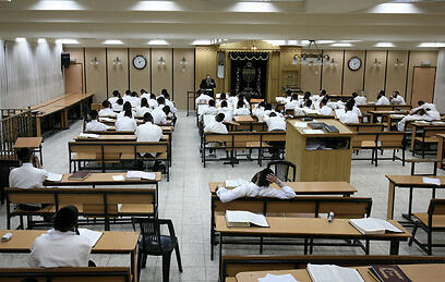 צילום: עמית שאבי