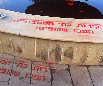 צילום: הילה בסון