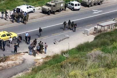 צילום: הודיה כריש