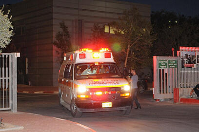 צילום: הרצל יוסף