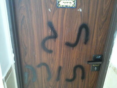 צילום: חן סרור